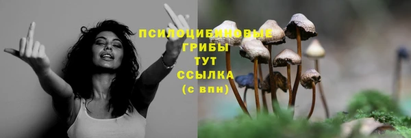 мяу мяу мука Волосово