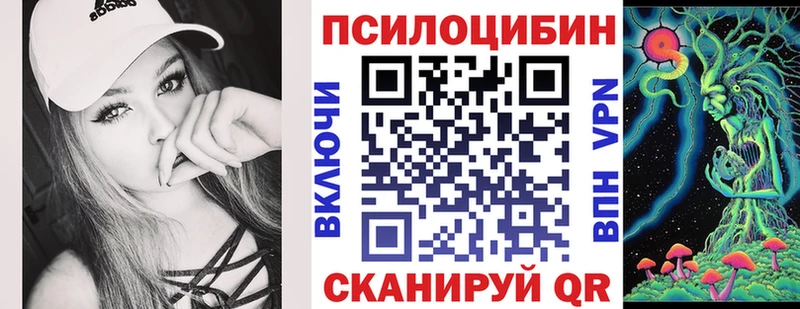 Купить закладки Байкальск Псилоцибиновые грибы Cubensis